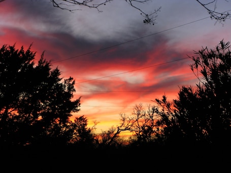 Vista desde la propiedad