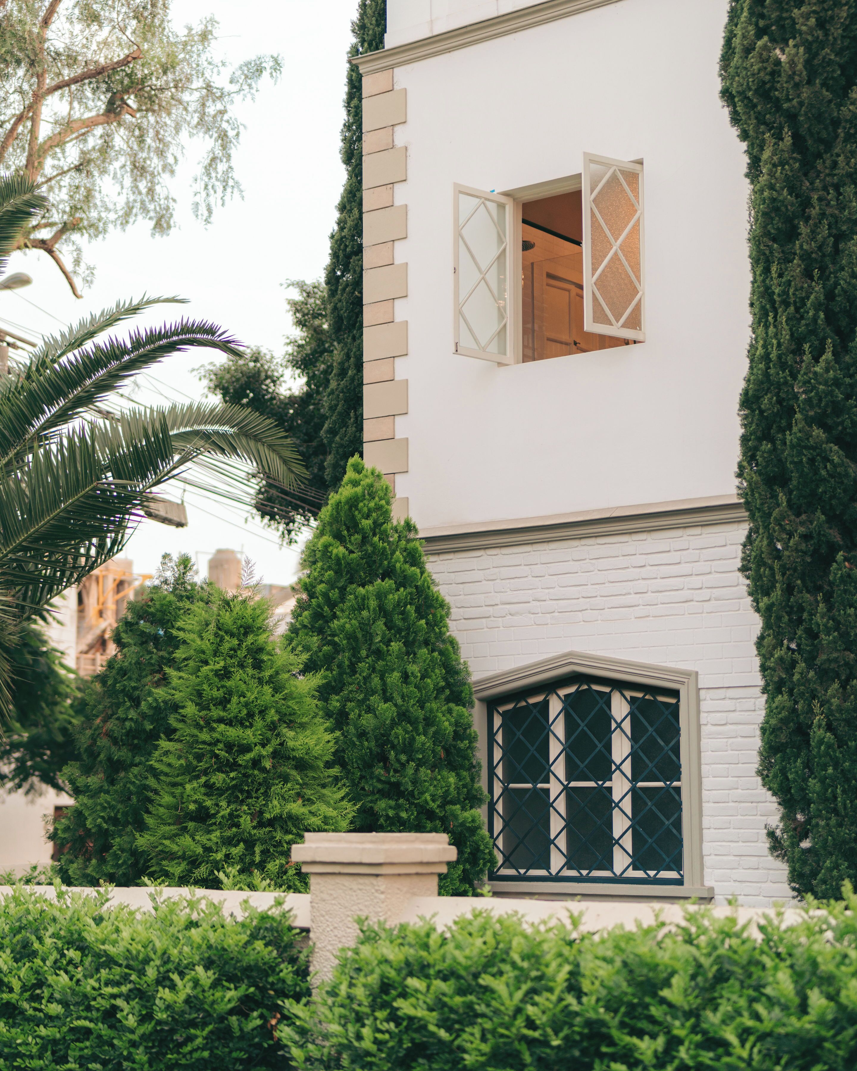 Foto - Atemporal by Andean