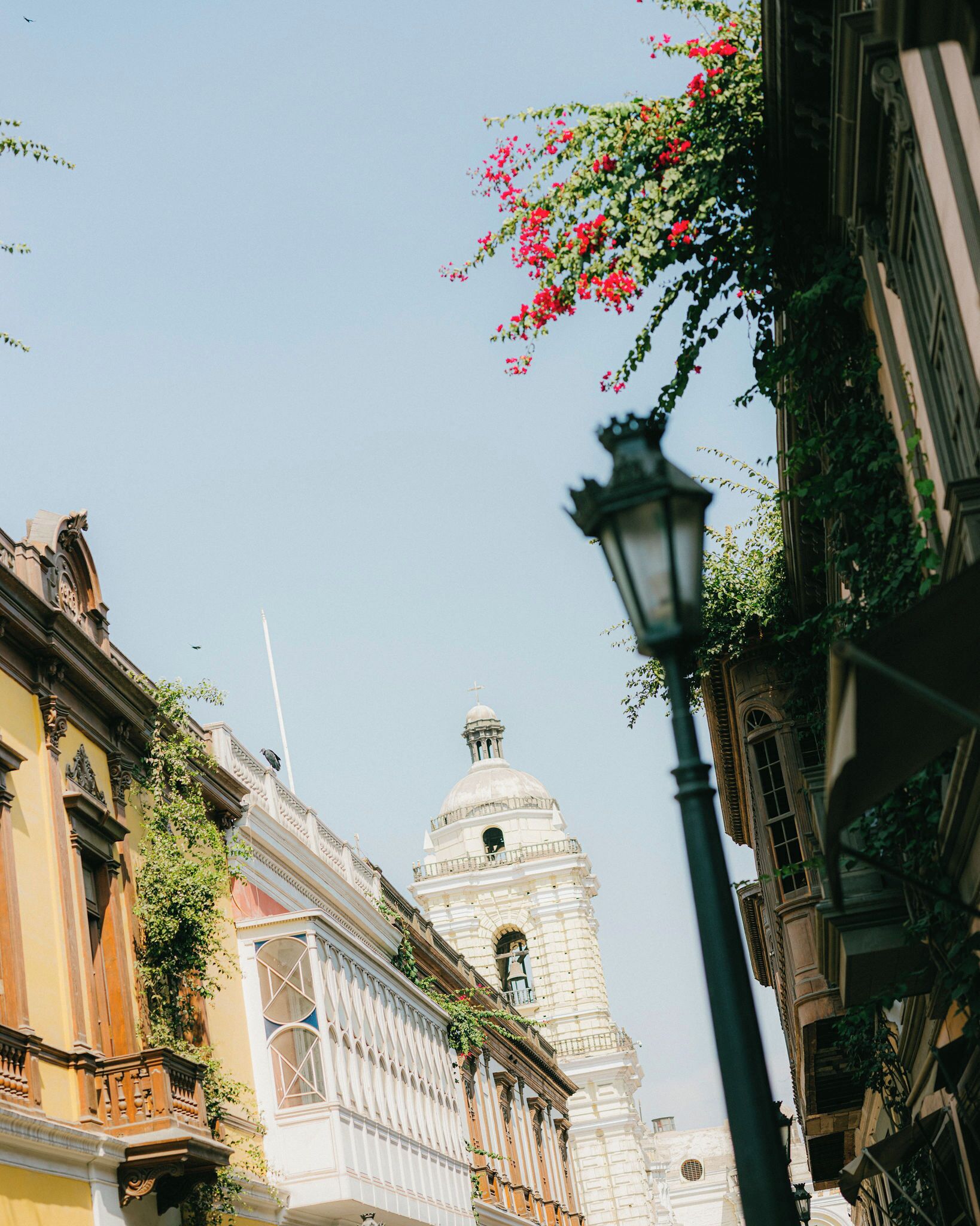 Foto - Atemporal by Andean