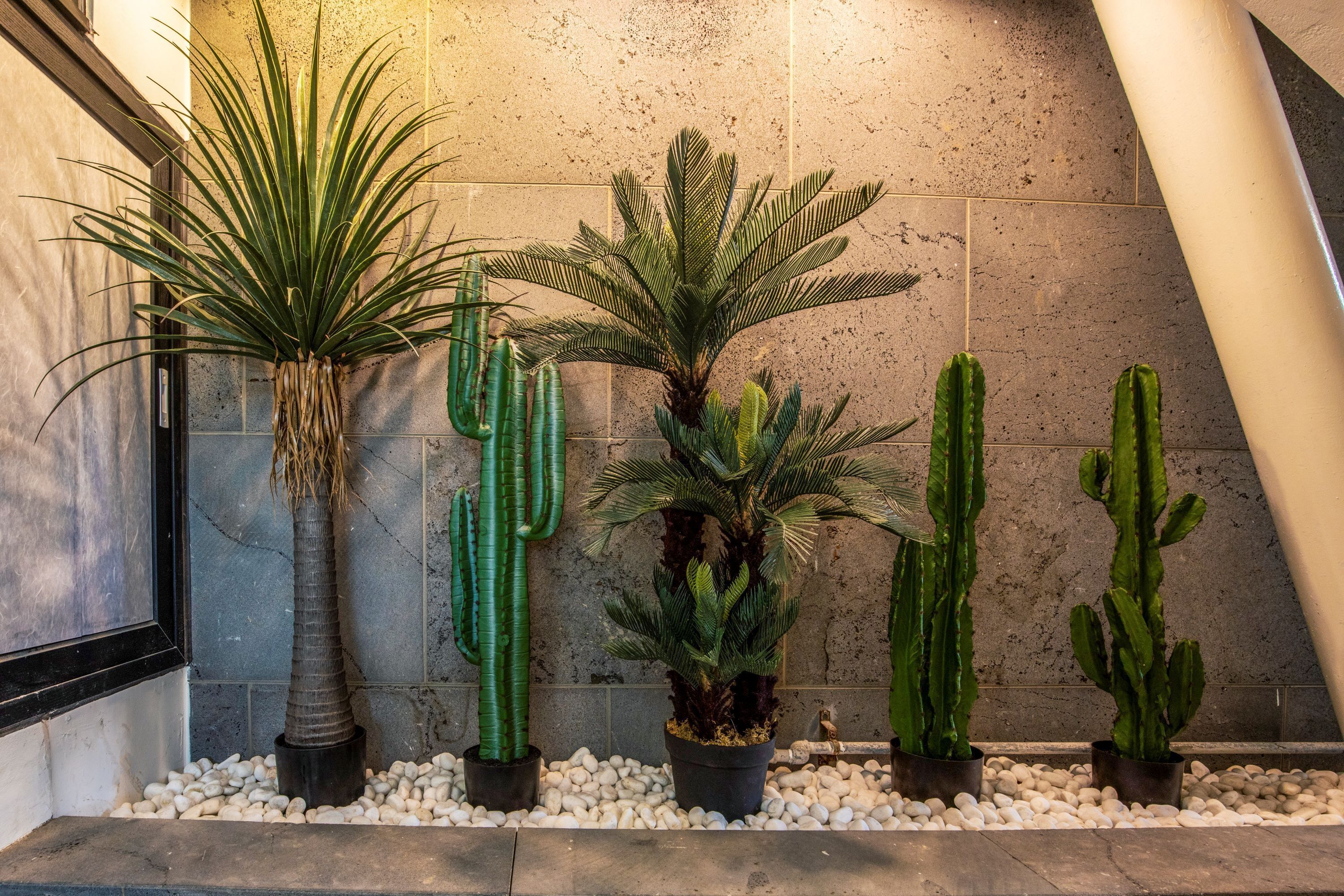 A row of potted plants against a textured wall, with a metal structure to the left.