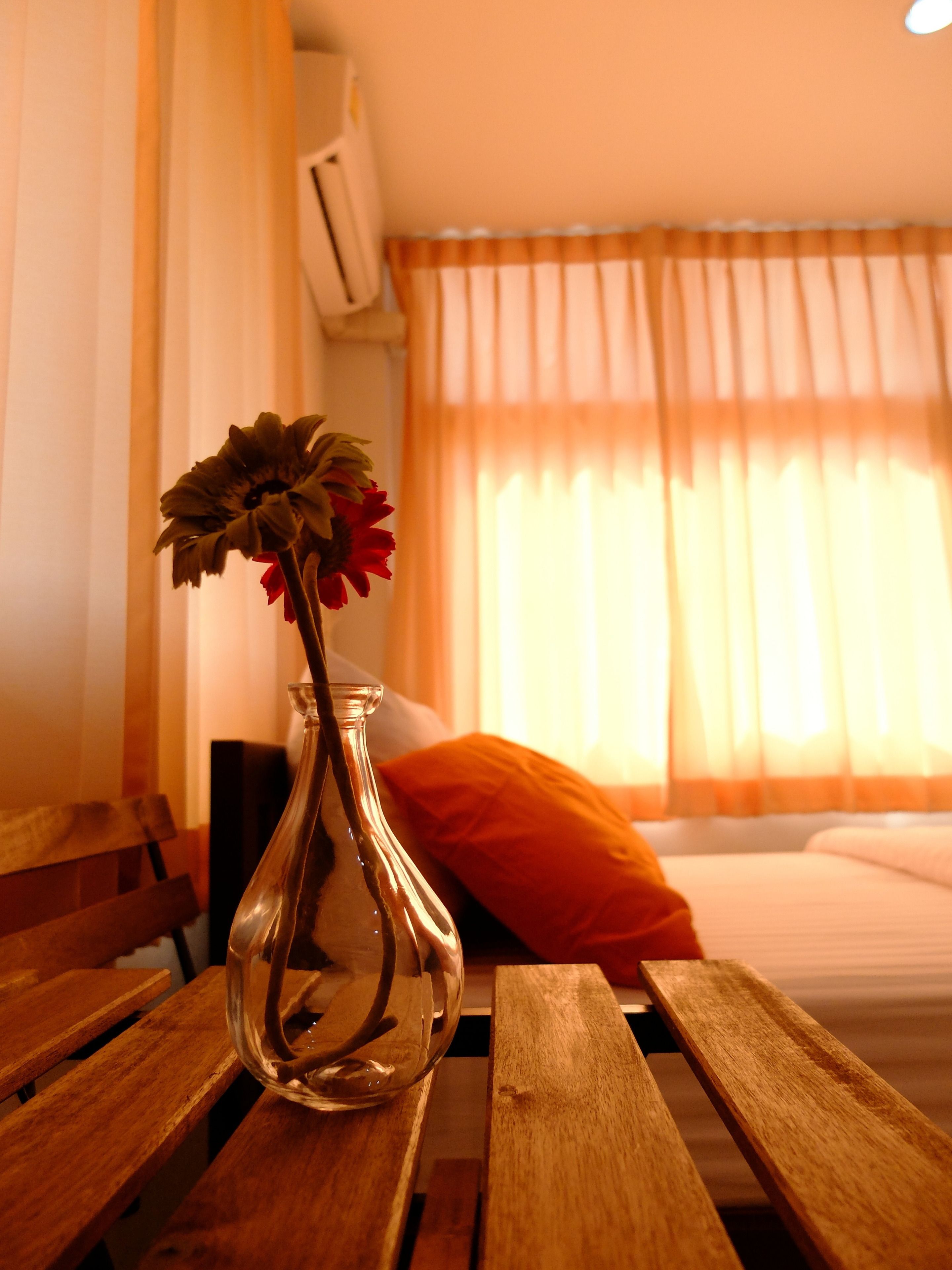 twin room | desk, soundproofing, free wifi