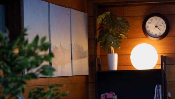 A wall with three framed cityscape paintings, a potted plant, a round wall clock, and a bookshelf with books and flowers. - Osaka Yuyuan (Osaka)