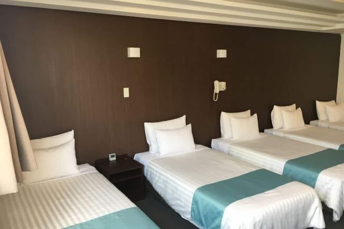 Blackout curtains, iron/ironing board, free WiFi, bed sheets