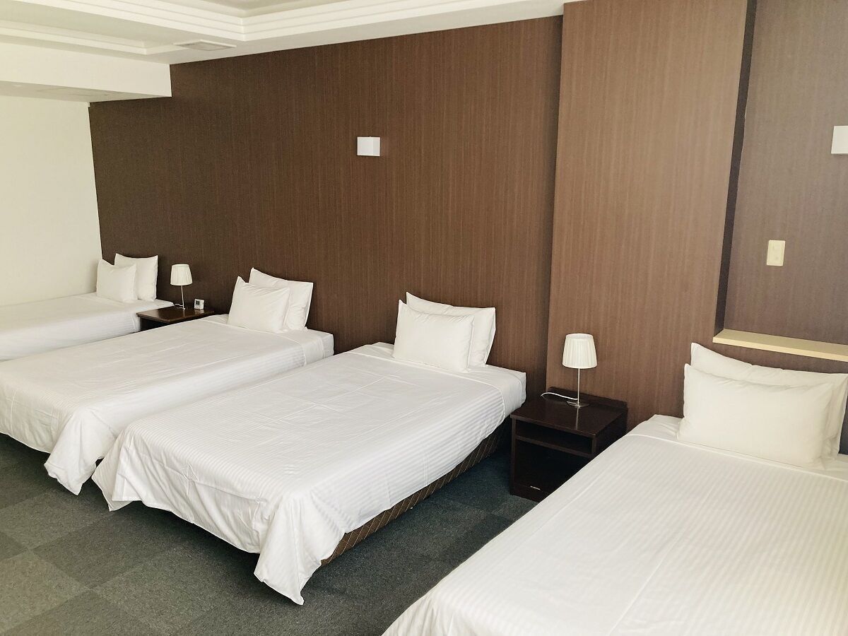 Blackout drapes, iron/ironing board, free WiFi, bed sheets