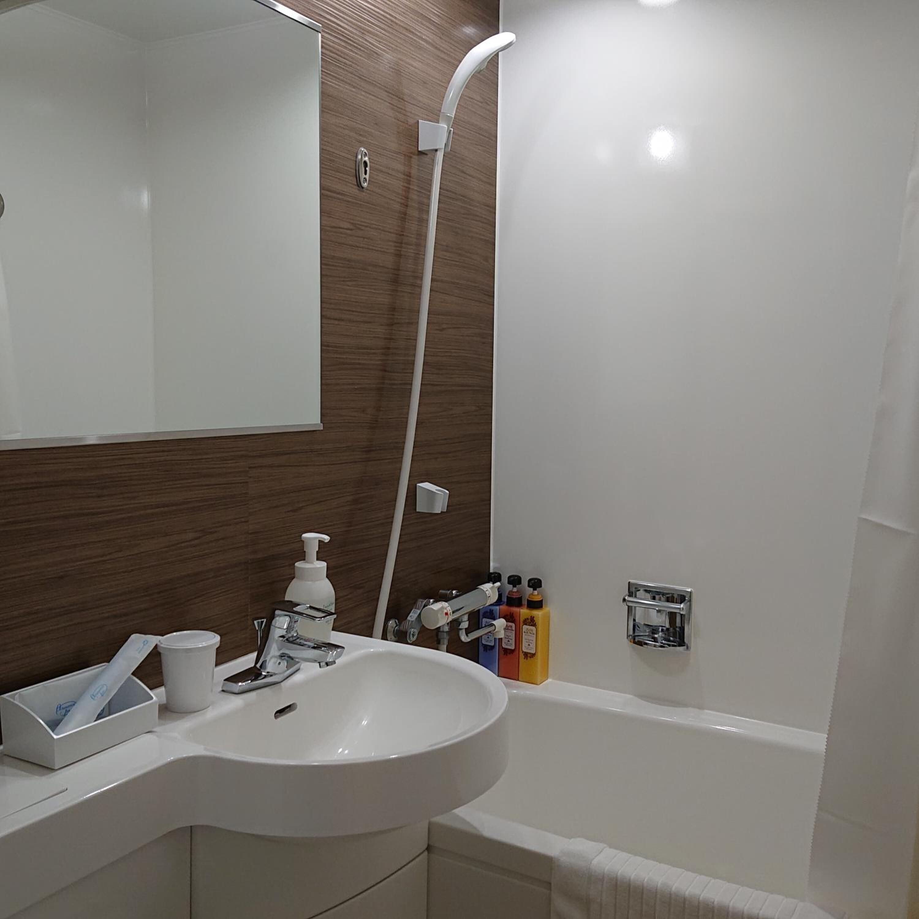 combined shower/bathtub, free toiletries, hair dryer, bathrobes