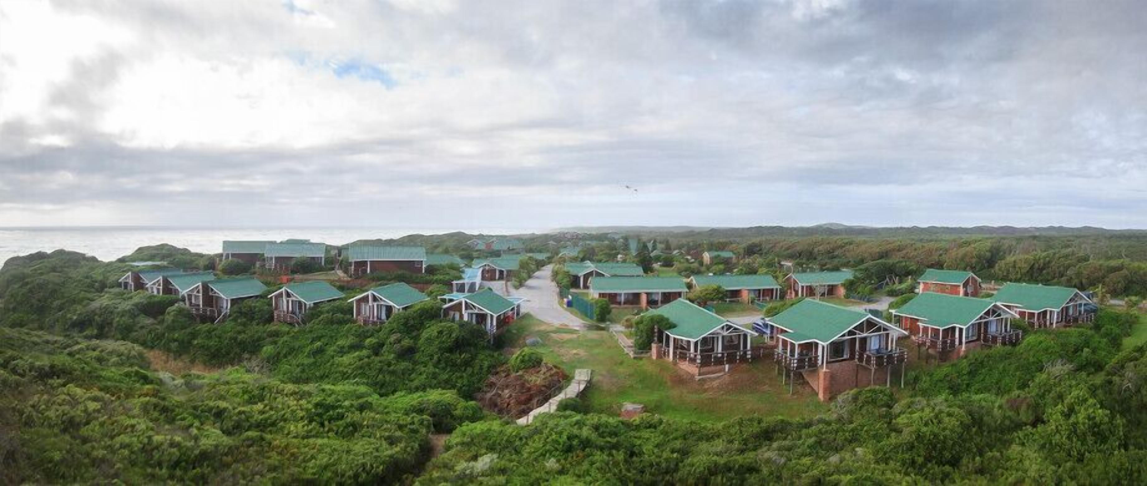 A cluster of cabins with green roofs, surrounded by dense greenery and a body of water in the background.
