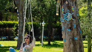 A hammock hanging from a tree in a park with greenery in the background.