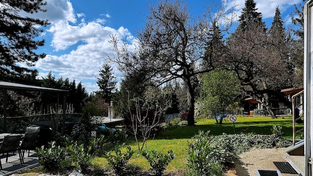 Un jardin avec un mur de pierre, diverses plantes et des arbres.