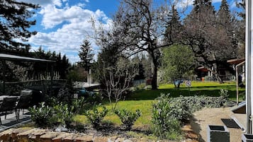 Single Room, Non Smoking | Garden view