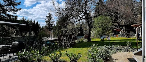 Habitación individual, para no fumadores | Vista al jardín