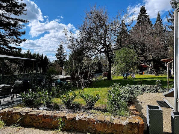 Eenpersoonskamer, niet-roken | Uitzicht op de tuin