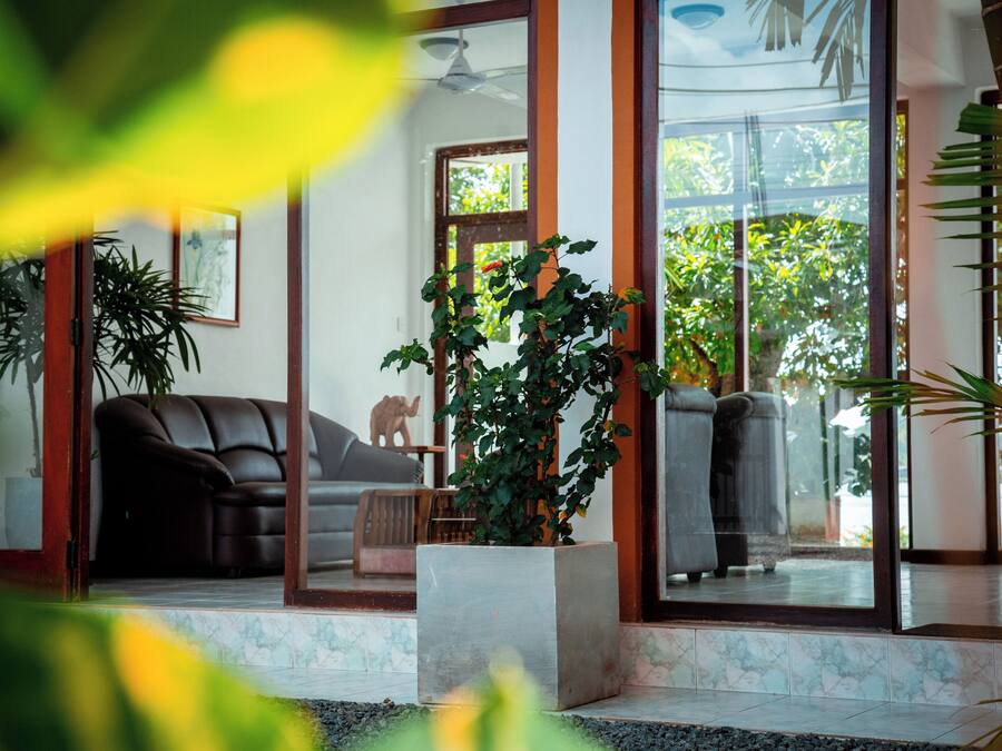 A modern living room with a leather sofa, a potted plant, and a large window offering a view of greenery outside.