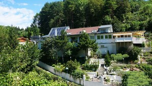 Une maison dotée de panneaux solaires, entourée d’une forêt dense.