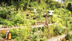 Un jardin avec différentes sortes de plantes et une petite construction blanche.