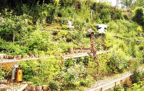 Apartment | View from room - Roomantic Apartments (Bromberg)