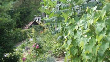 Un jardí exuberant amb diverses plantes i una casa petita al fons.