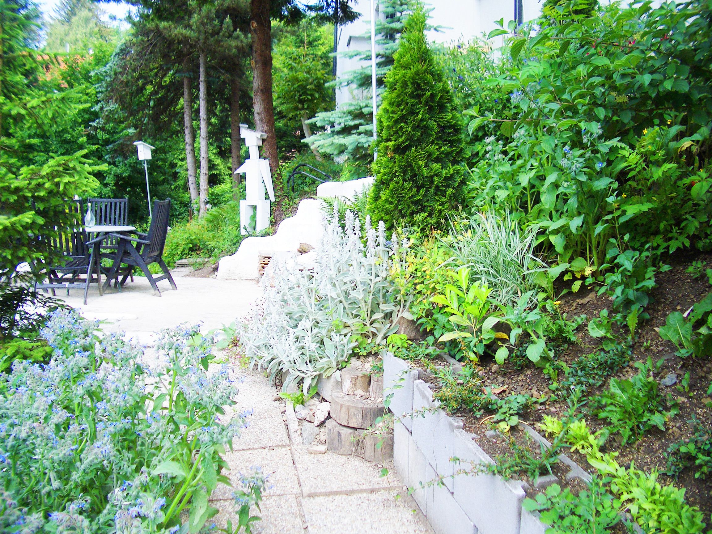 Un jardín con un sendero de piedra, sillas de madera y una variedad de plantas.