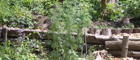 Jardin