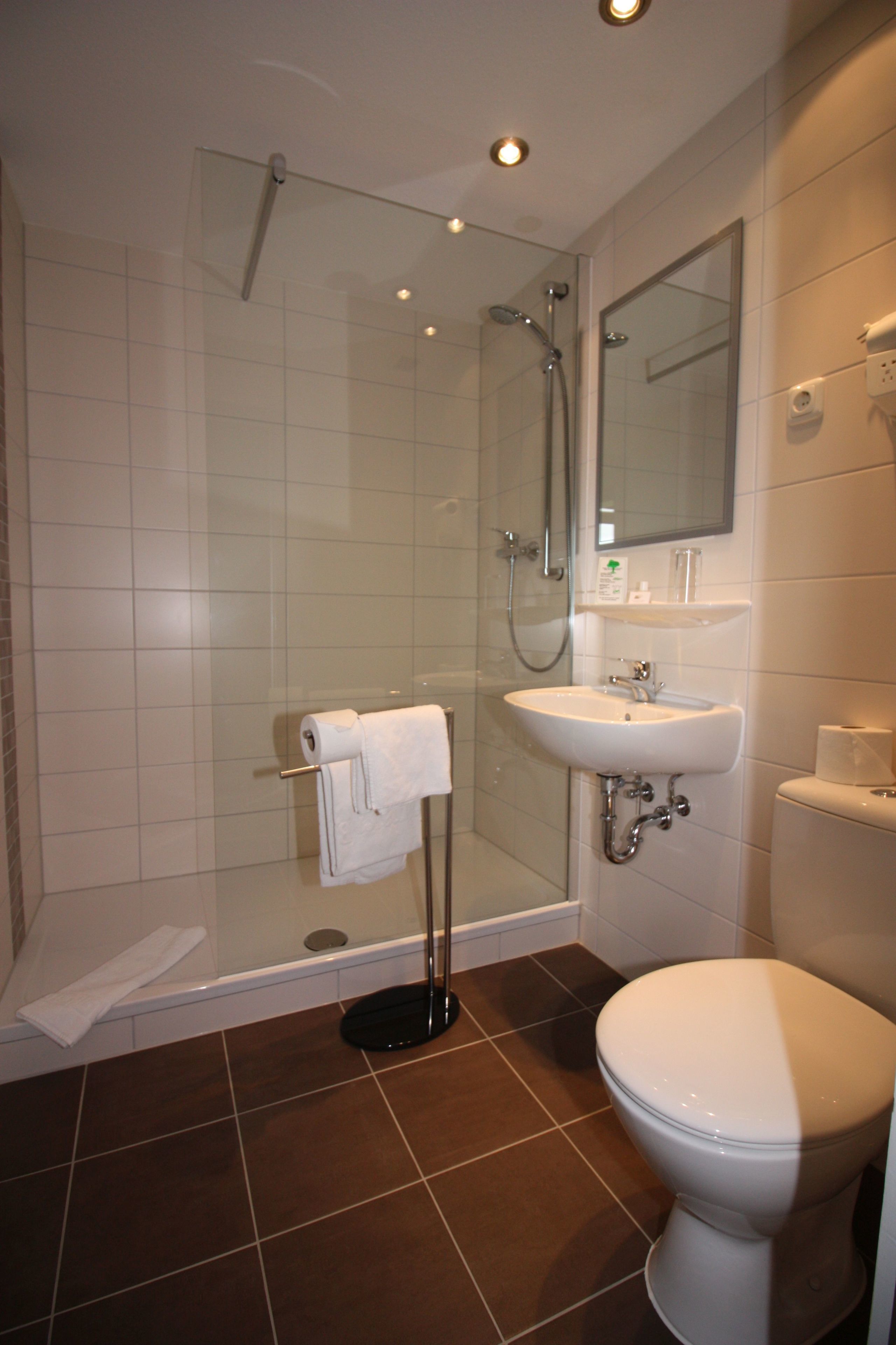 A bathroom with a shower, sink, toilet, and a glass-enclosed shower stall.