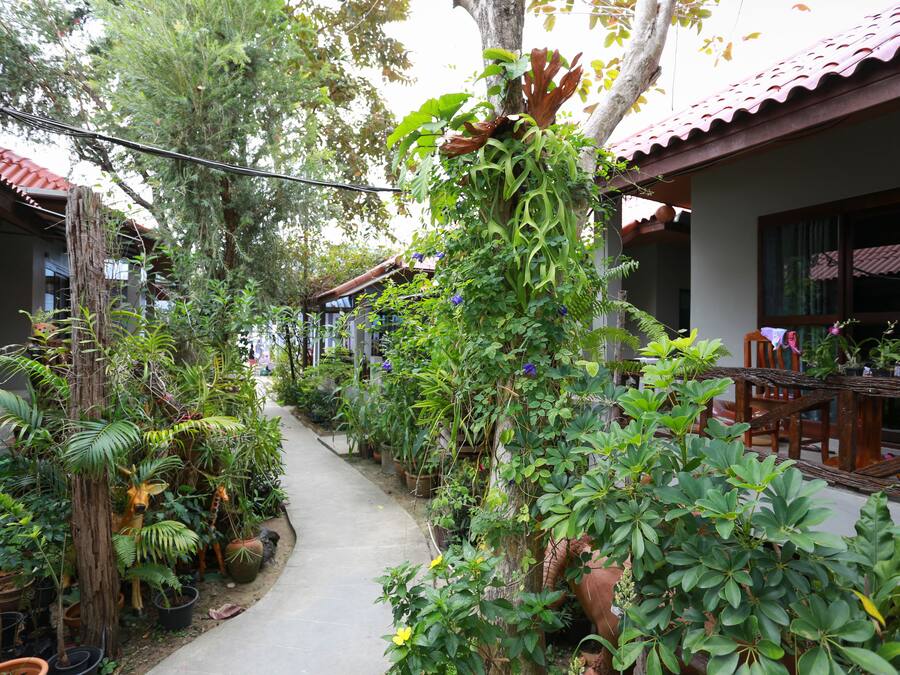 Un sendero estrecho bordeado por abundante vegetación y plantas en macetas, que conduce a un edificio con tejado de baldosas y muebles de madera.