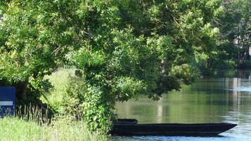 Une rivière paisible où un bateau est amarré sous un arbre.