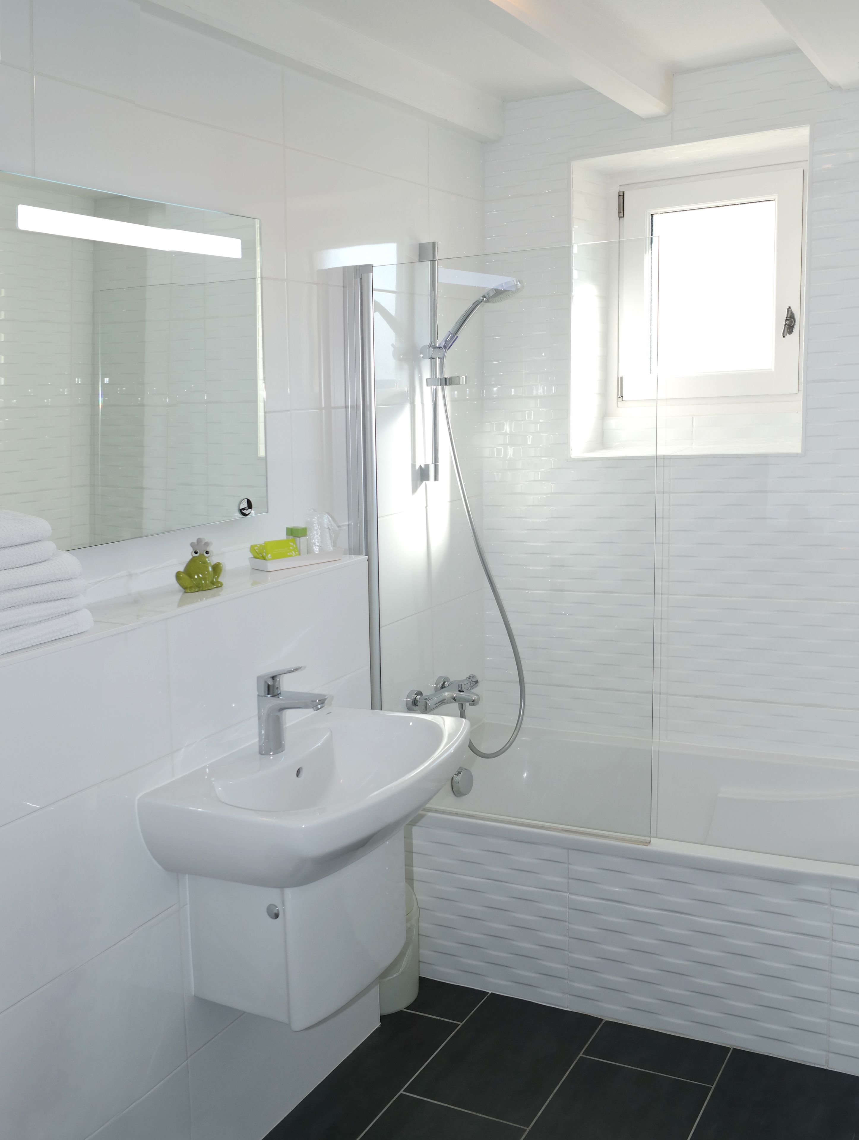 eco-friendly toiletries, hair dryer, towels