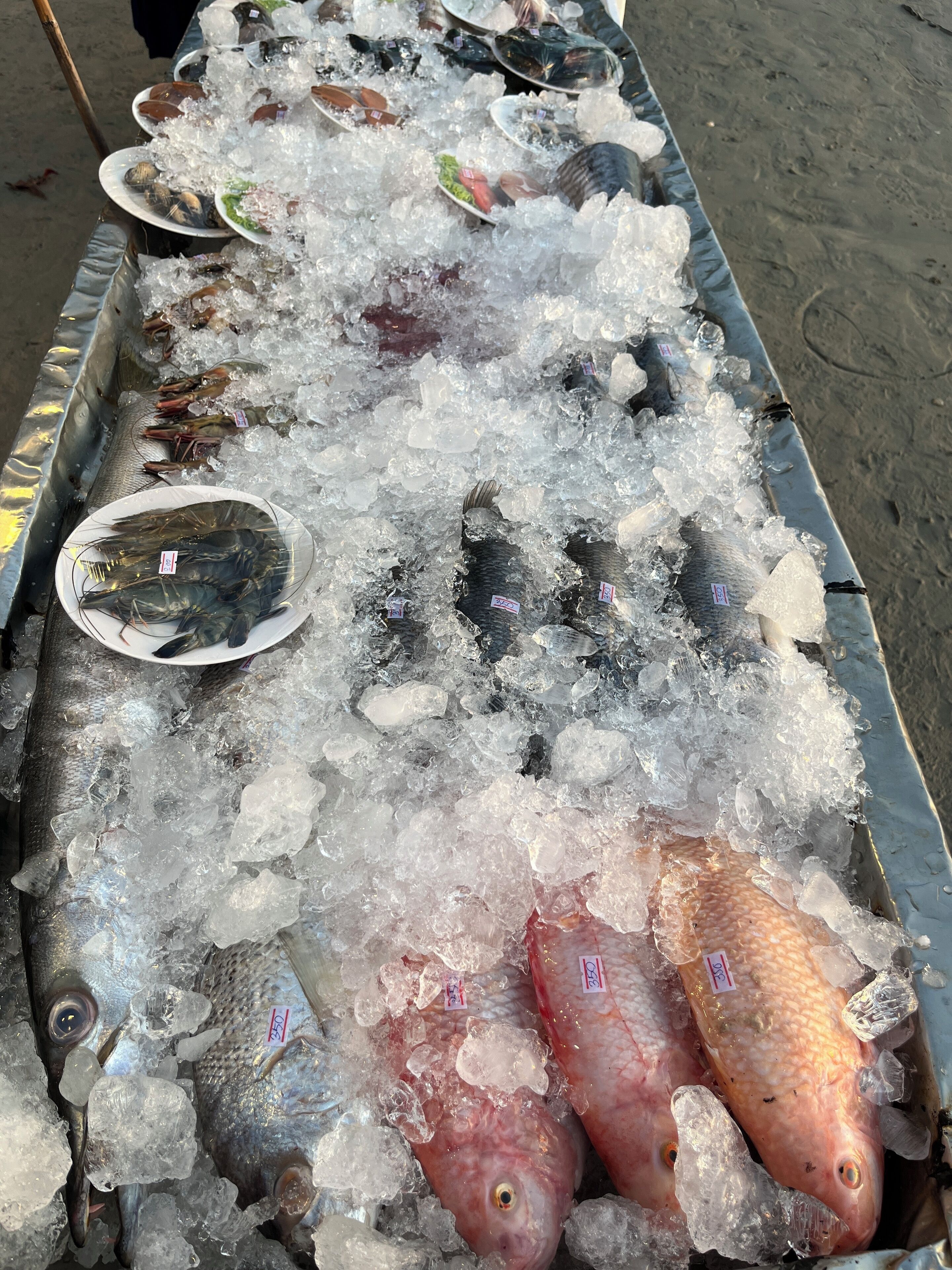 A variety of seafood on ice, including fish and clams, displayed in a metal tray.