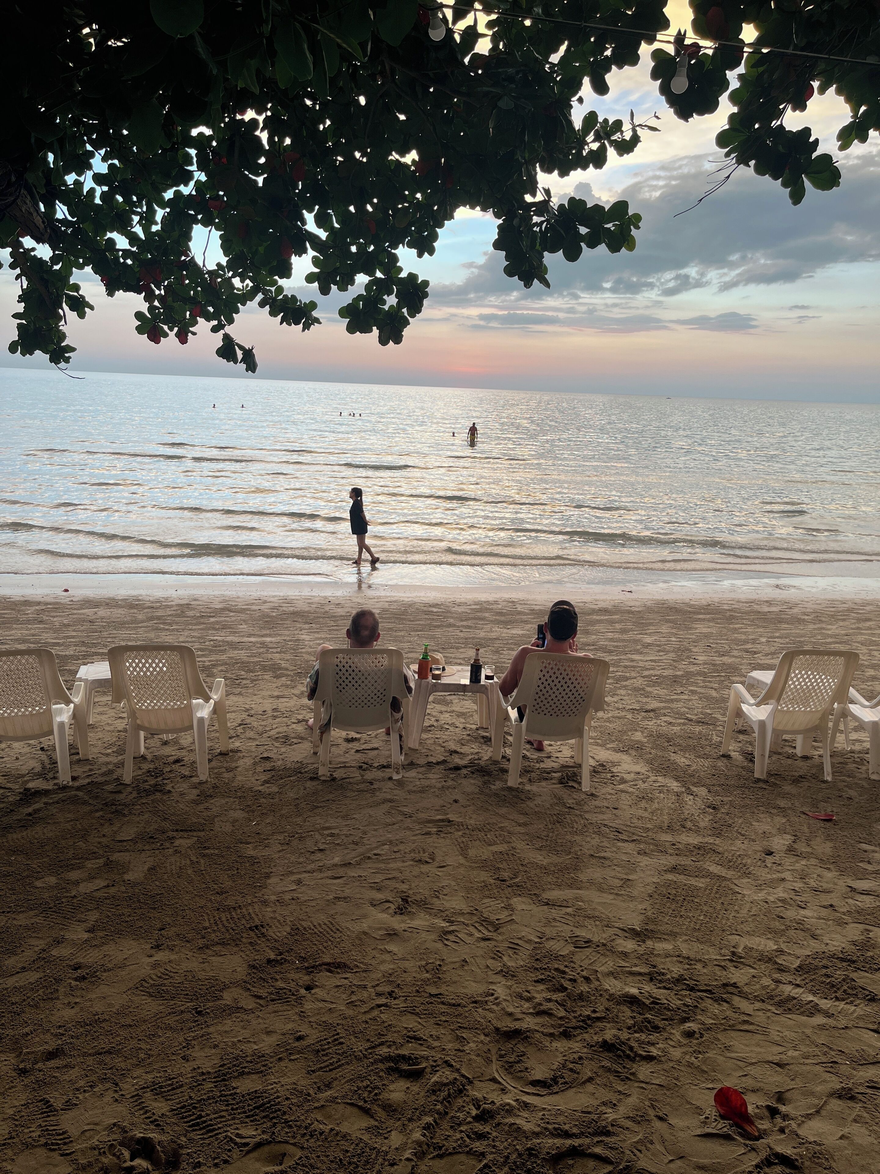A beach scene with white plastic chairs and tables under a tree, overlooking the sea.
