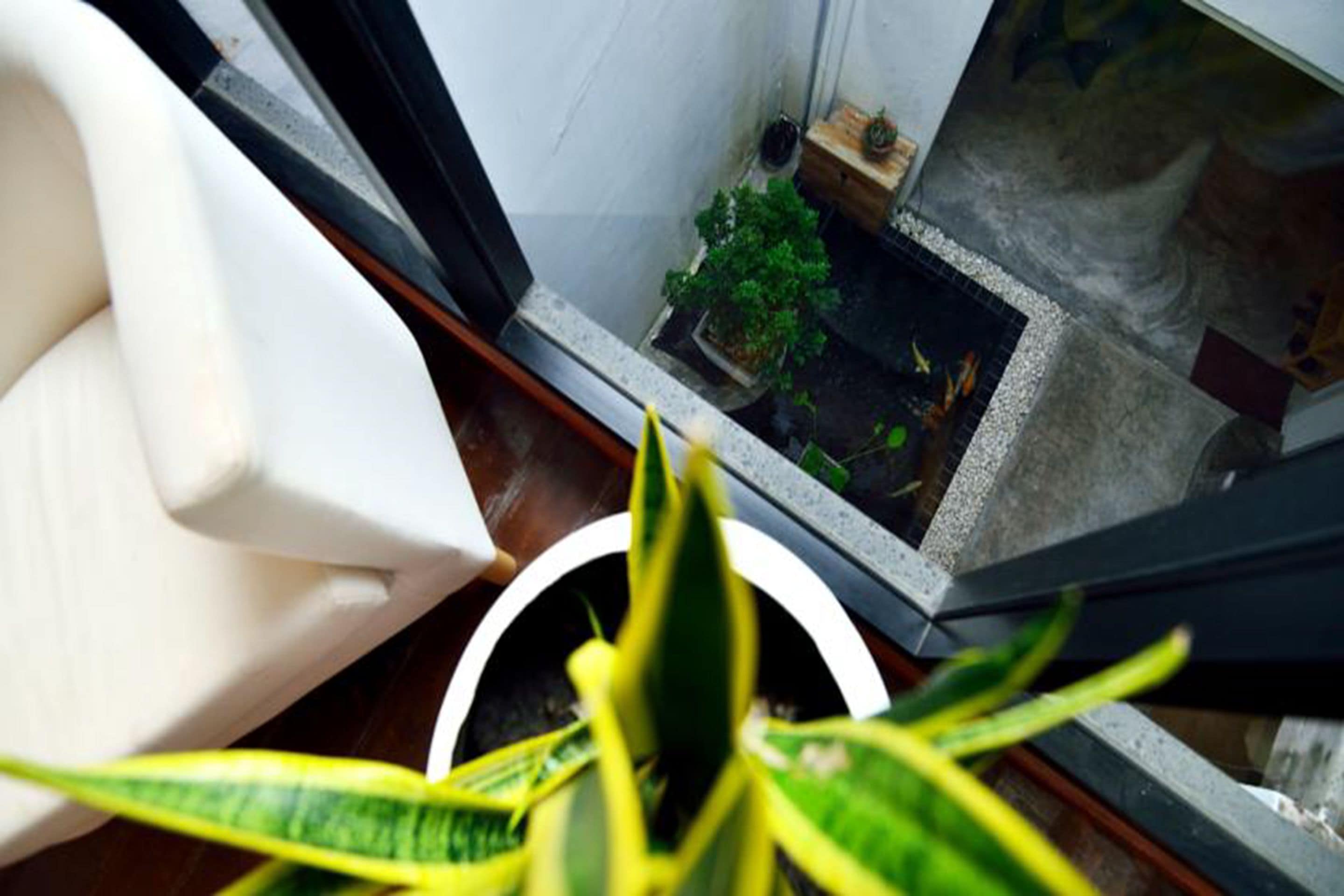 Vista da janela para um pequeno pátio com uma cadeira branca, um vaso de plantas e uma pequena mesa com uma planta.