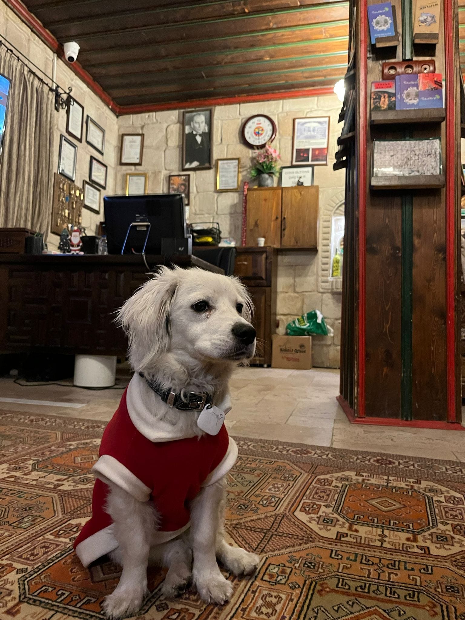 Foto - Century Cave Hotel