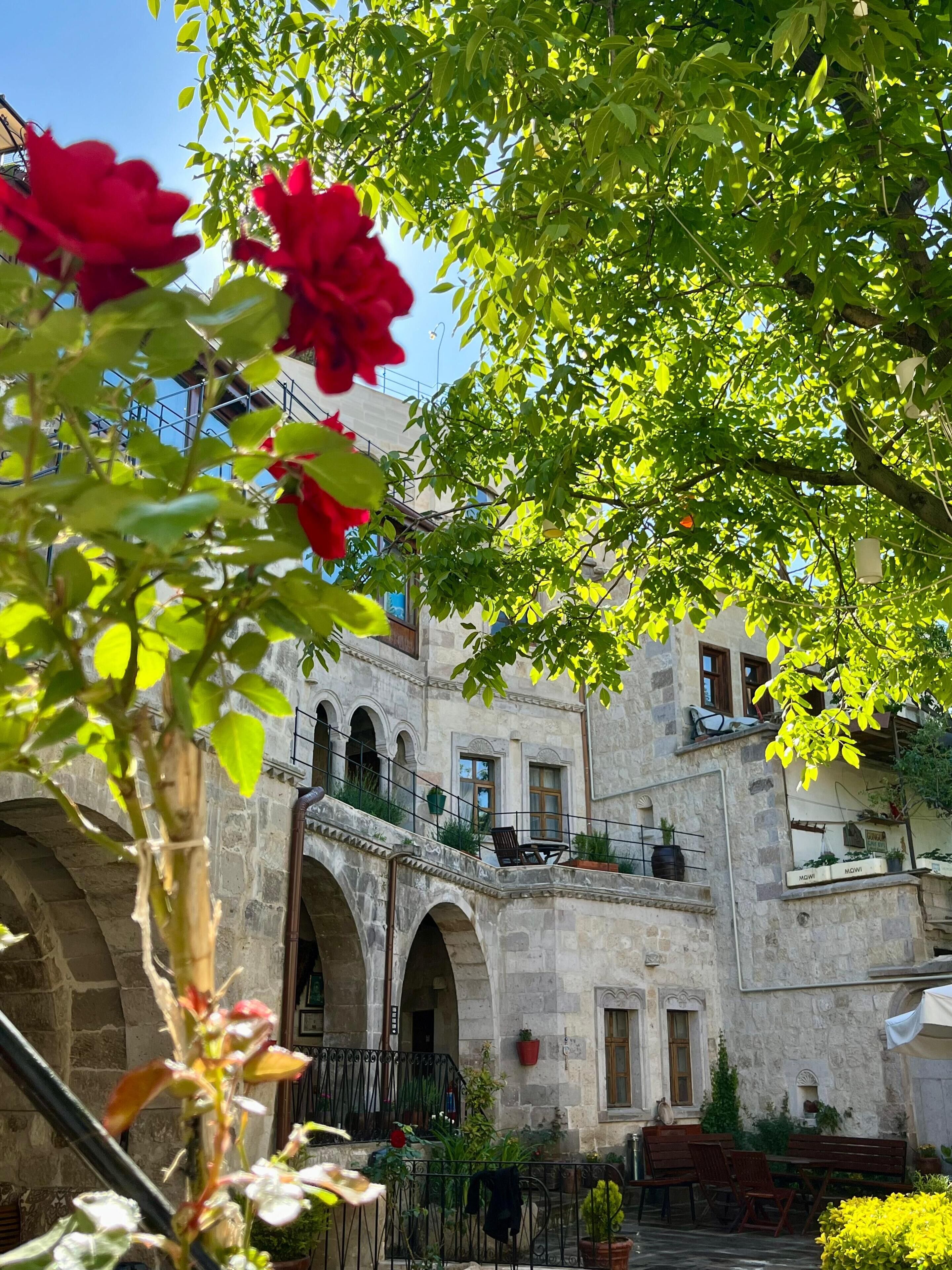 Foto - Century Cave Hotel