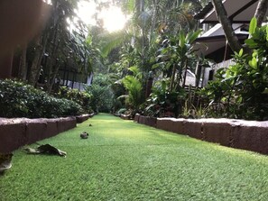 Khuôn viên nơi lưu trú