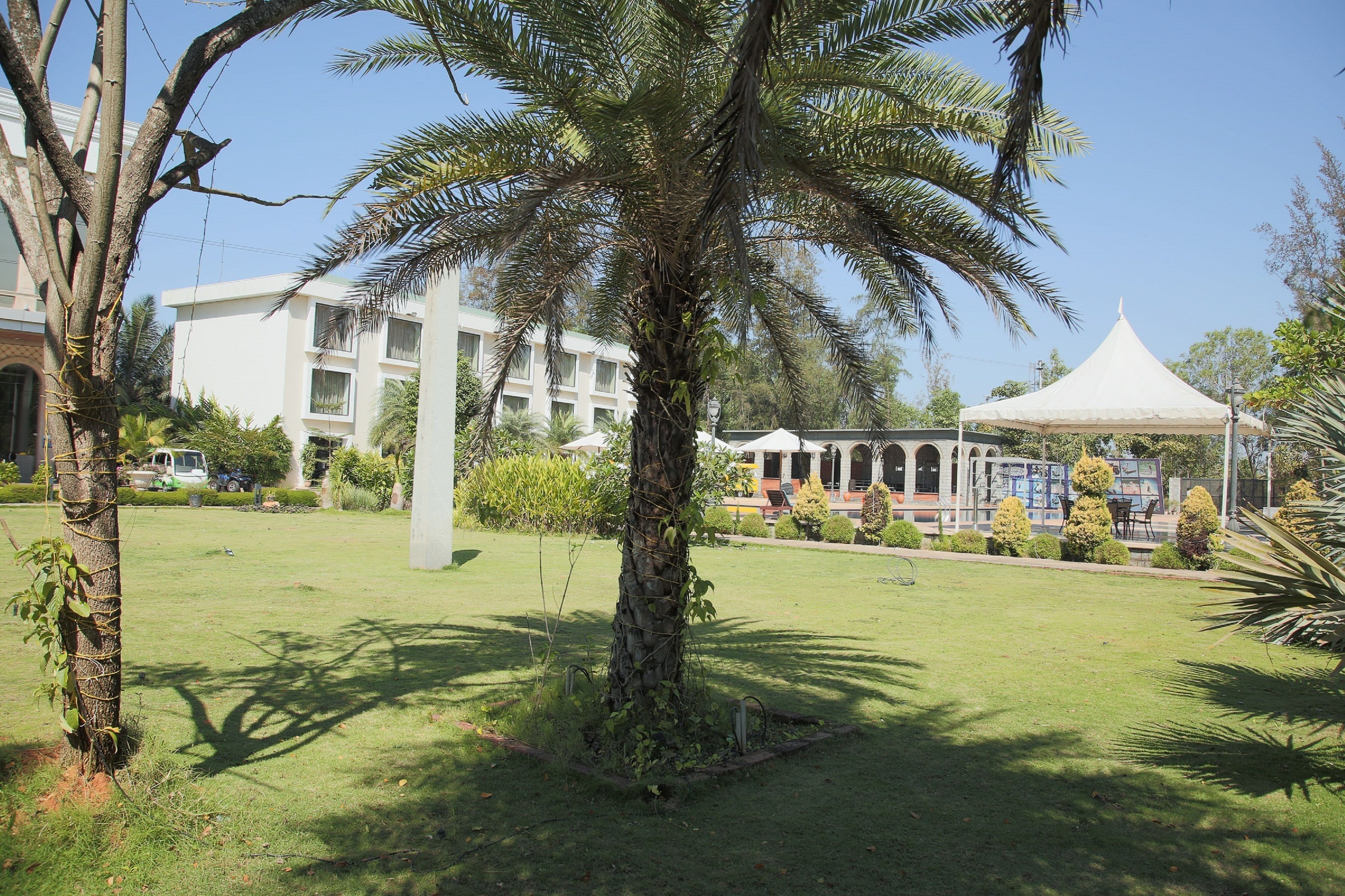 Taman
