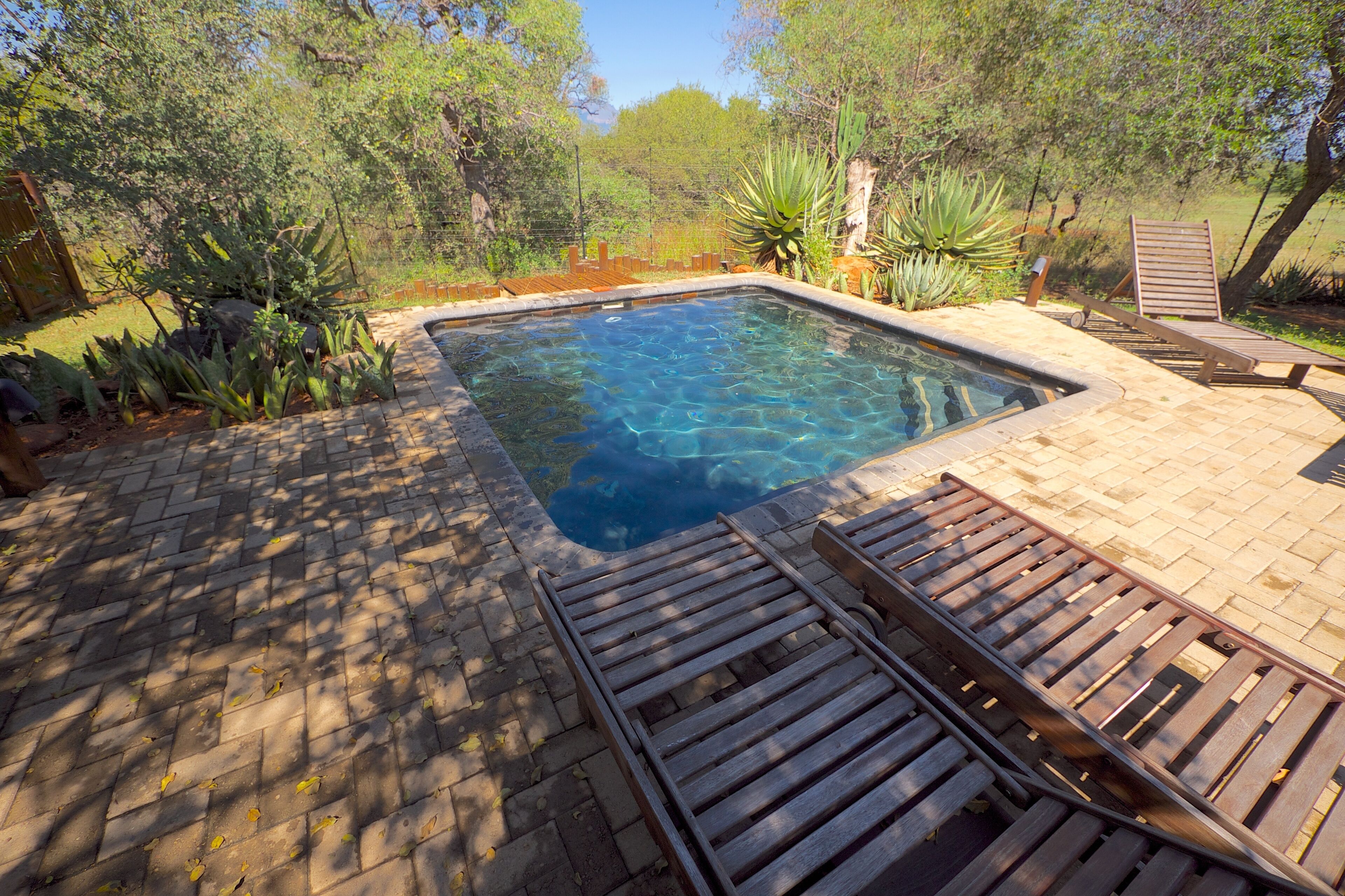 Kolam renang outdoor