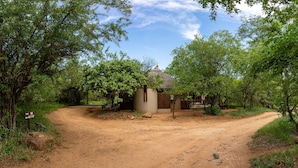 A rustic thatched-roof building surrounded by trees, with a dirt path leading to it. - Raptors Lodge (Hoedspruit)