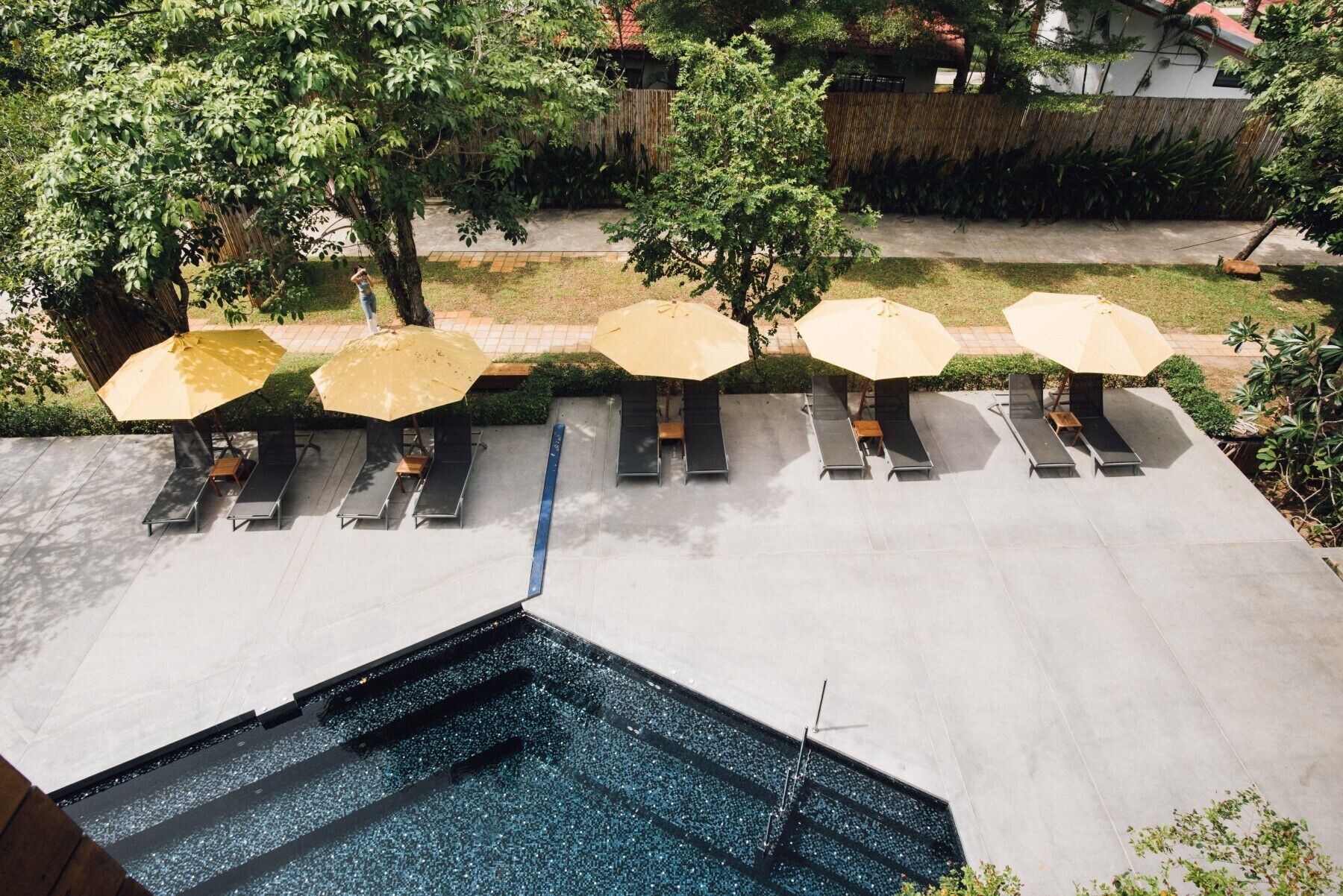 An outdoor swimming pool area with lounge chairs and umbrellas, surrounded by trees and a bamboo fence.