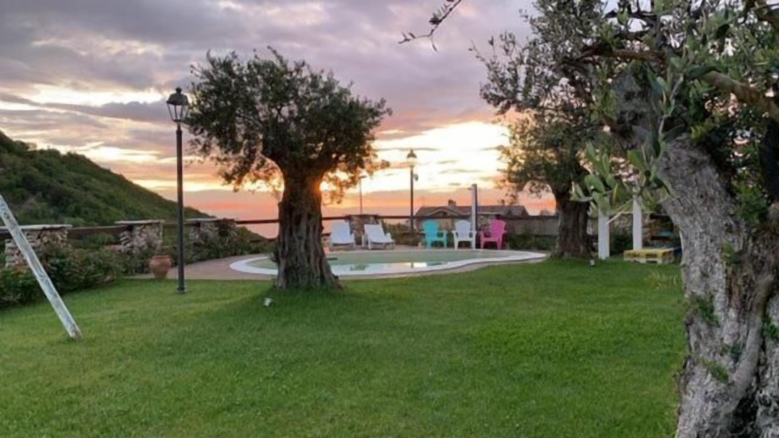 Un espacio exterior con césped, un árbol, una piscina y vistas al atardecer.
