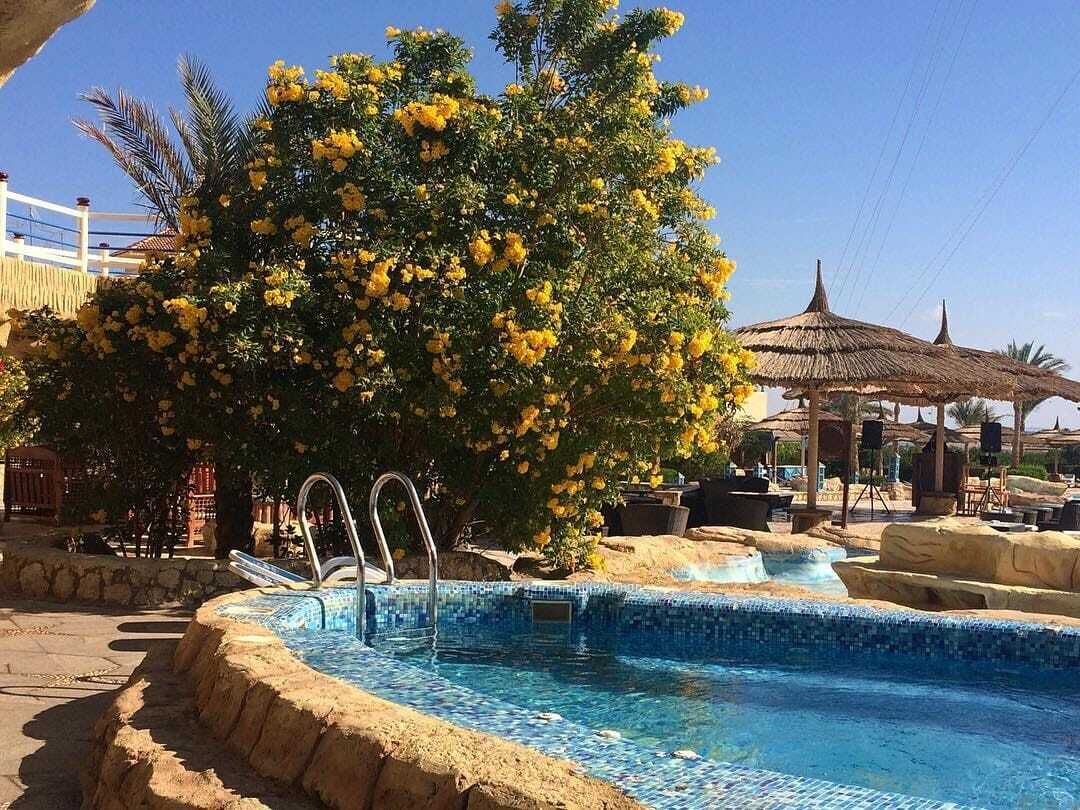 حمام سباحة