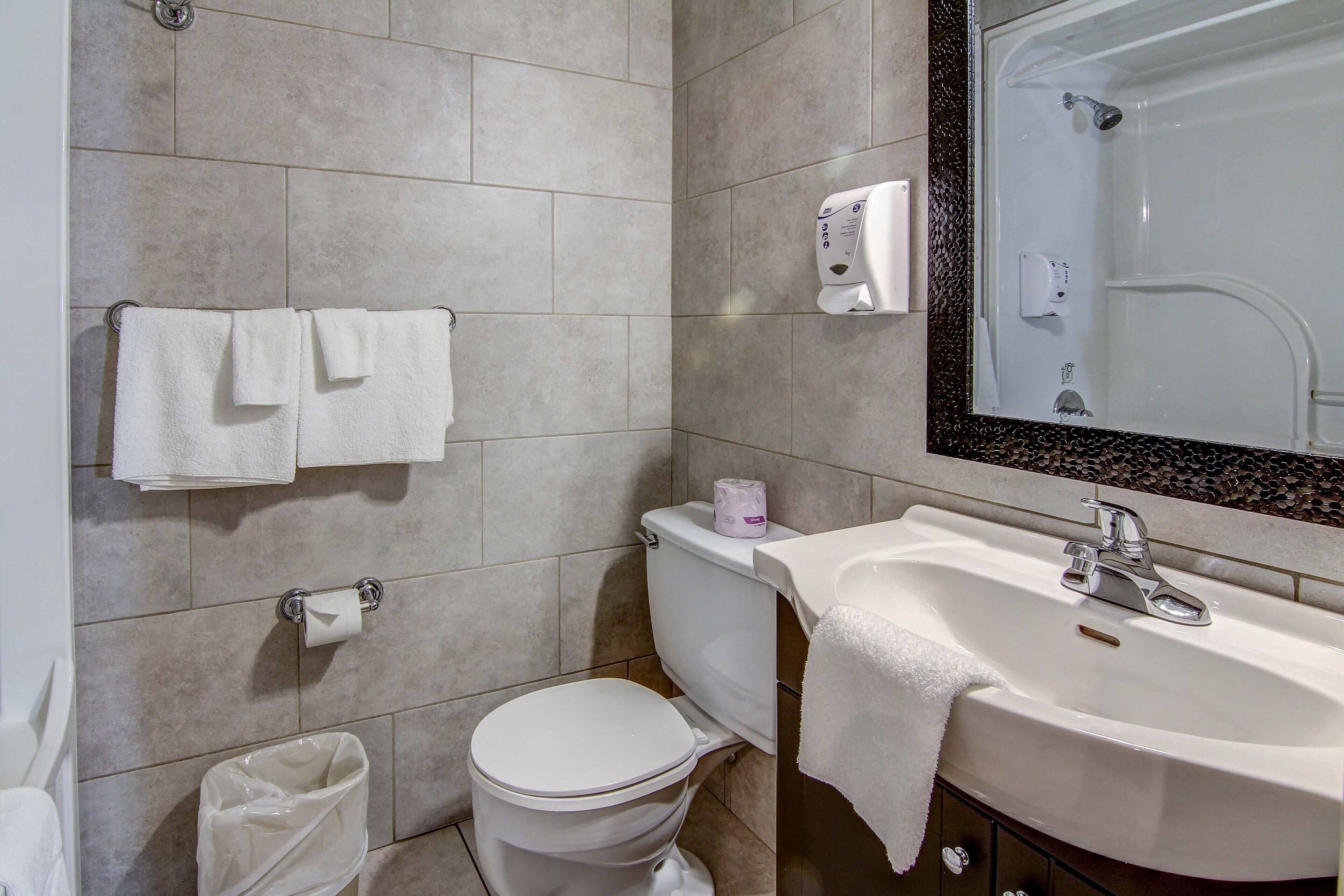 A bathroom with a toilet, sink, and a mirror.