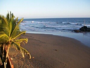 A beach with a palm tree and ocean waves. - Torola Hotel & Beach Resort (La Union)
