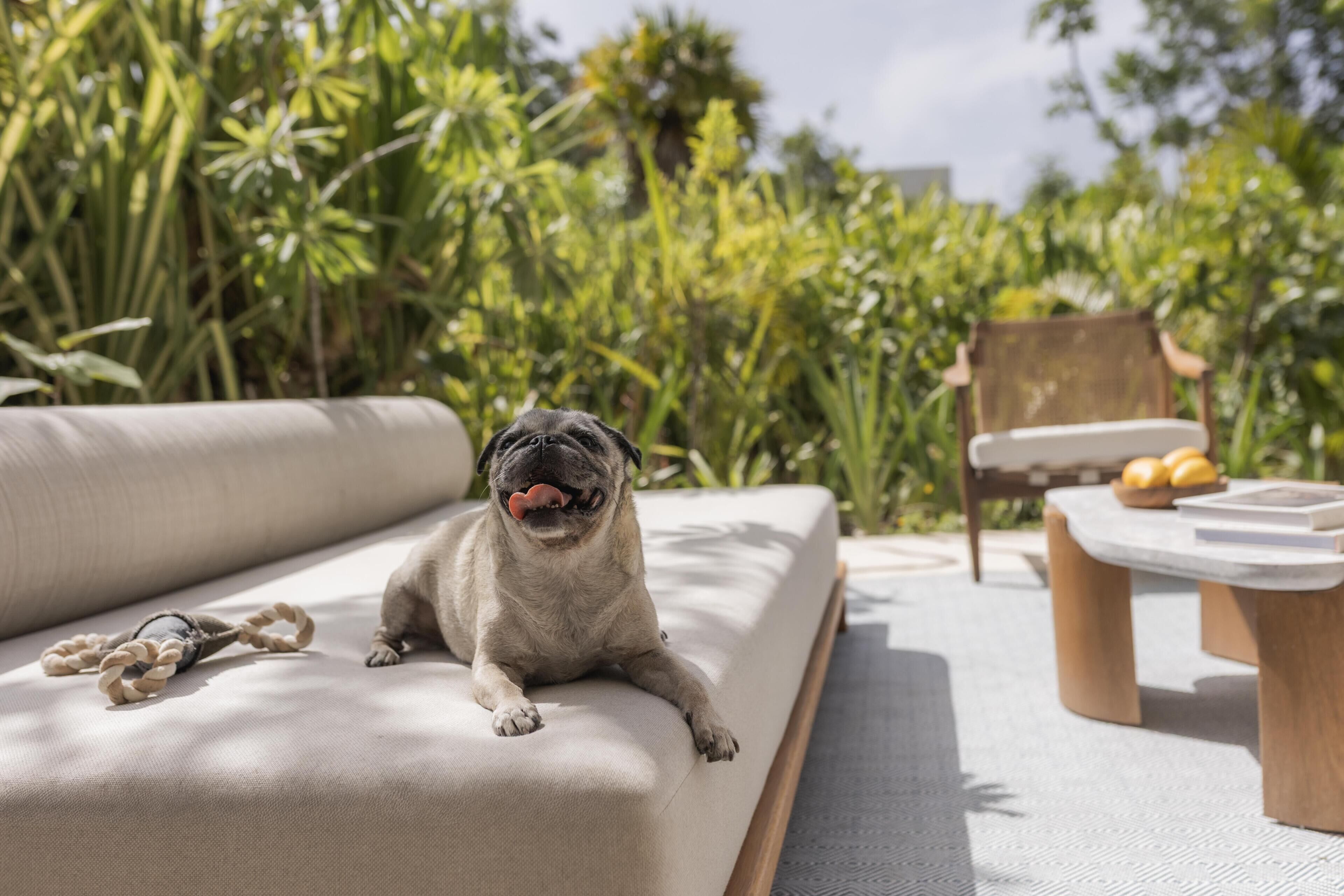 Premium bedding, free minibar items, in-room safe, laptop workspace