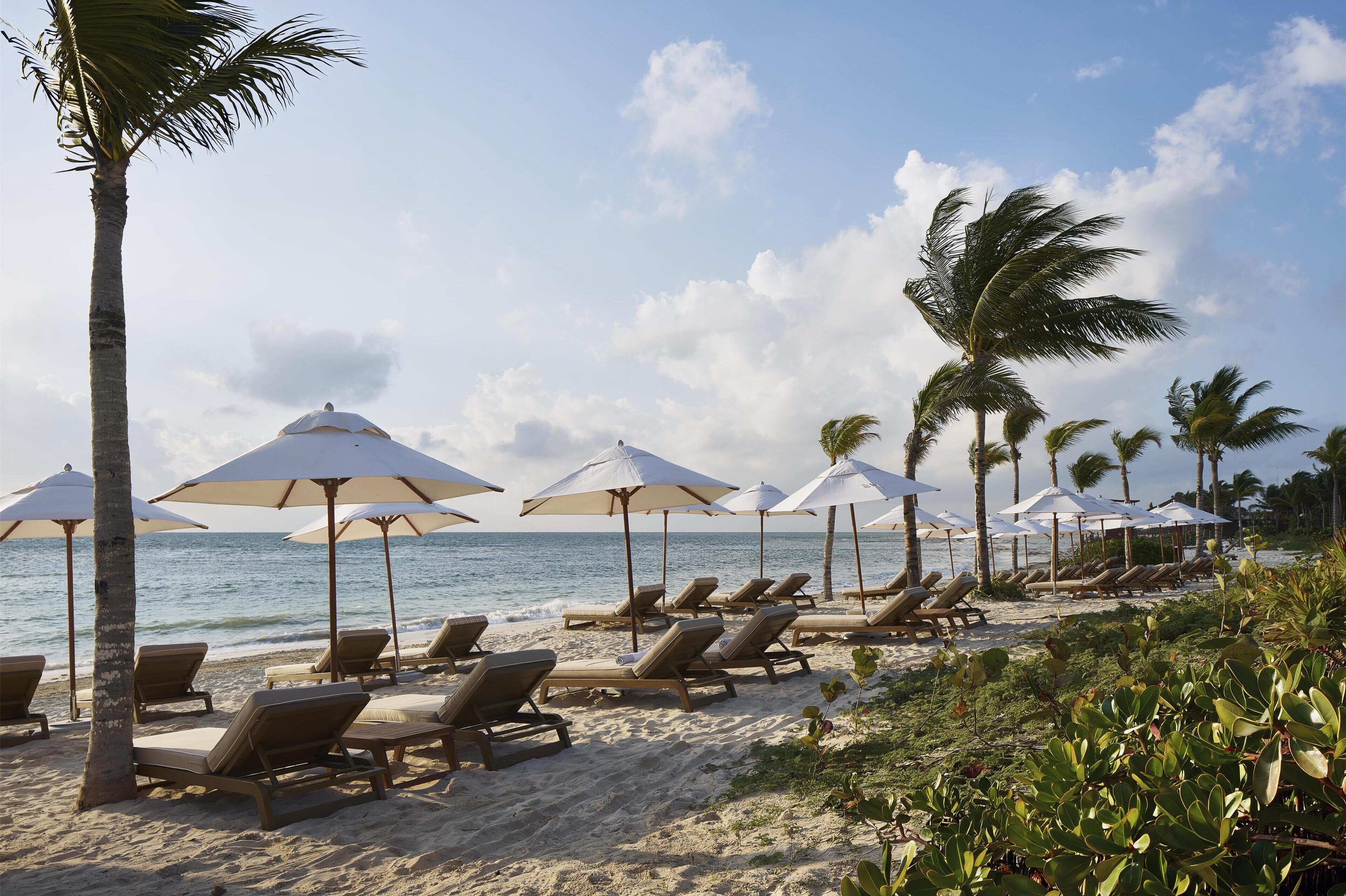 Plage privée, sable blanc, navette gratuite vers la plage