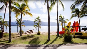 Una playa con palmeras, arena y tablas de surf.