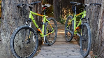 A wooden pathway flanked by two bicycles parked against trees.