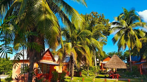 Un resort tropical con palmeras, una cabaña de techo de paja y un sendero que lleva a un edificio de techo rojo.