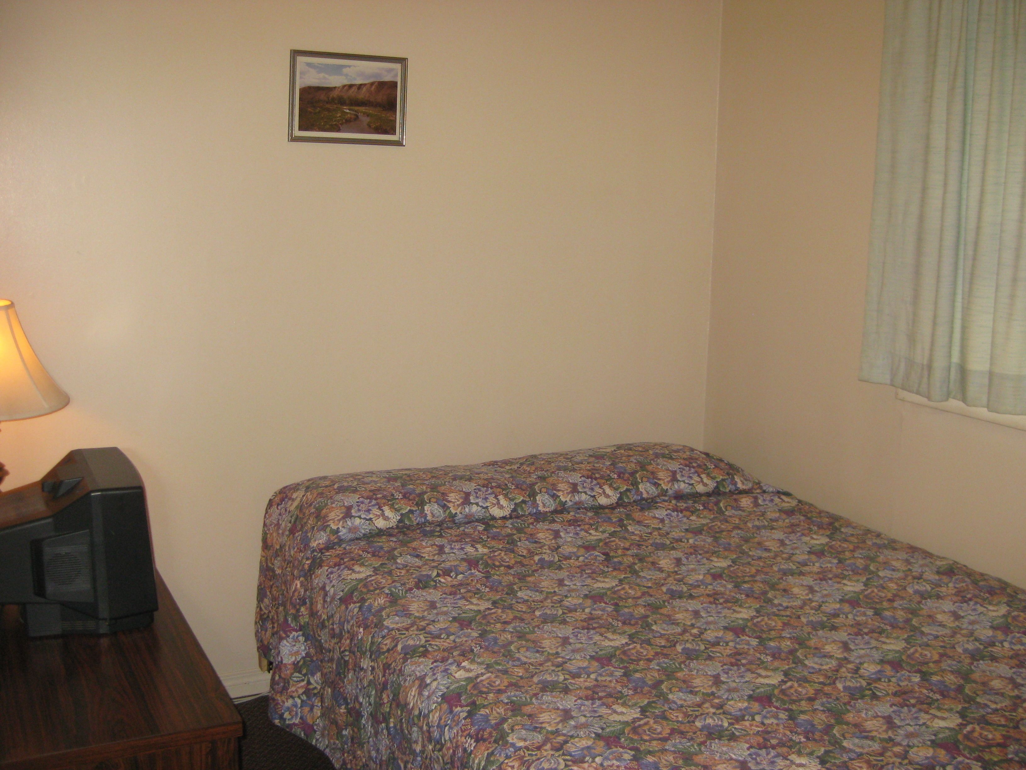 Un dormitorio con colcha estampada, lámpara de noche, un cuadro en la pared y una ventana con cortinas.
