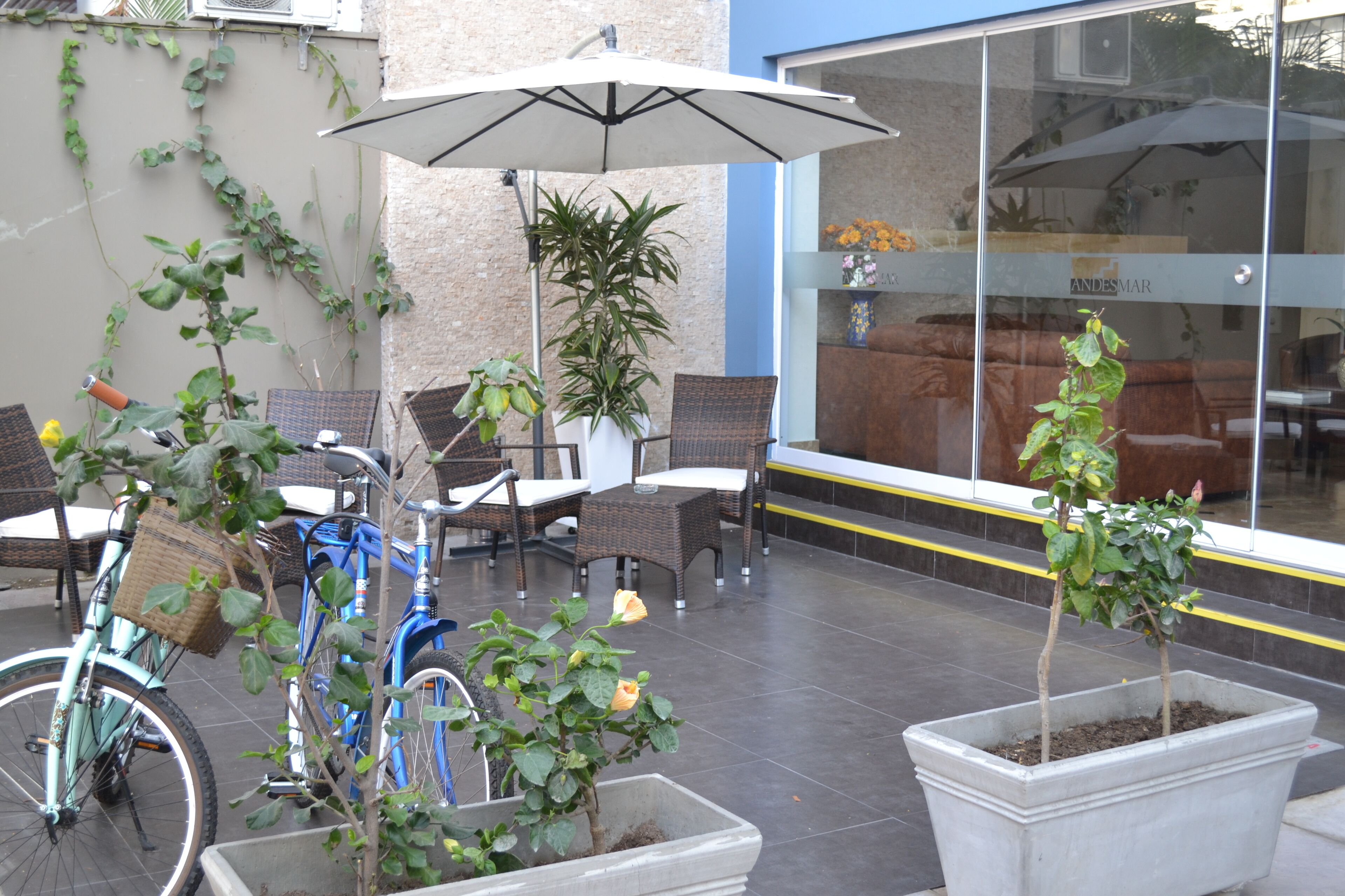 An outdoor patio with wicker furniture, potted plants, and a bicycle.
