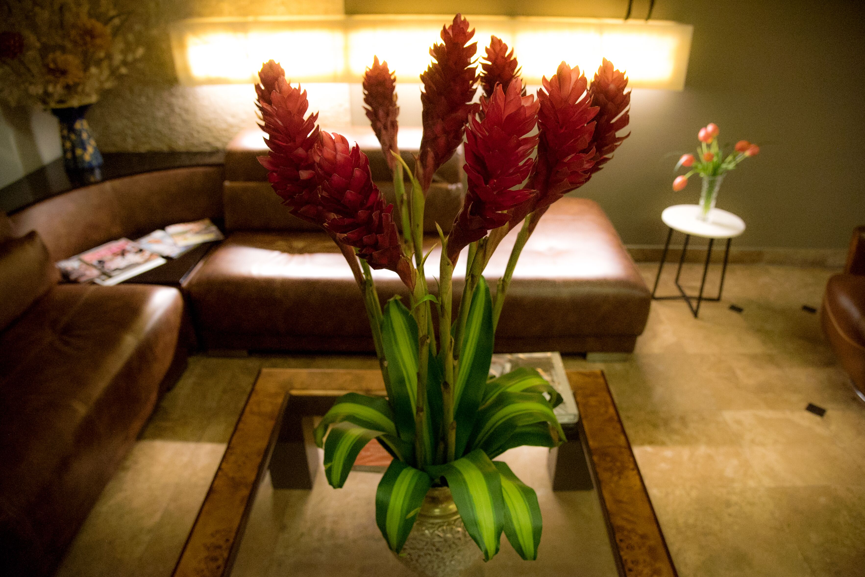 43-inch smart tv with cable channels, tv, netflix