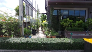 Un sendero estrecho bordeado por plantas en macetas y un edificio con grandes ventanales.