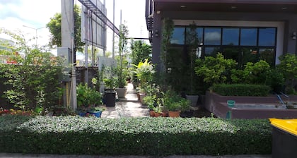 Bird Day Boutique Hotel